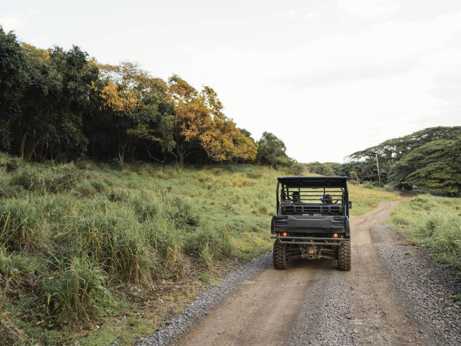 Sri Lanka Yala Tours